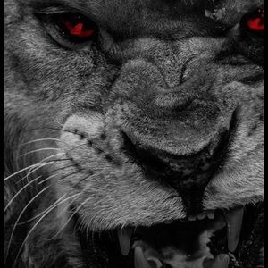 Meet your Posher, Jayno